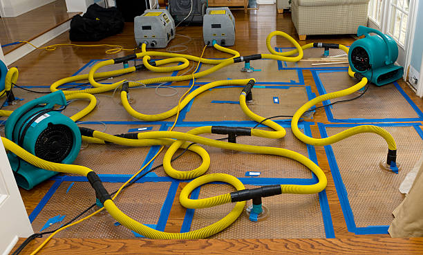 Professional Burst Pipe Water Damage technician working in Courtenay, ND